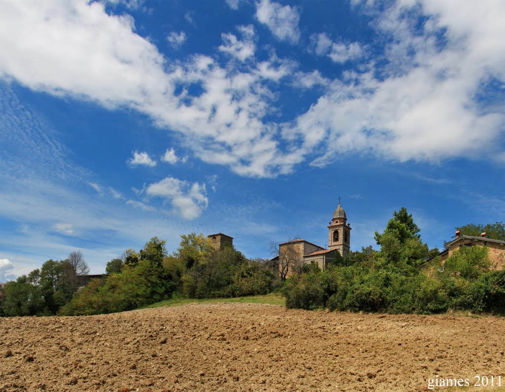 Estate a Monticello (Luglio 2011) by GiamesPhoto (Giacomo A. Turco)