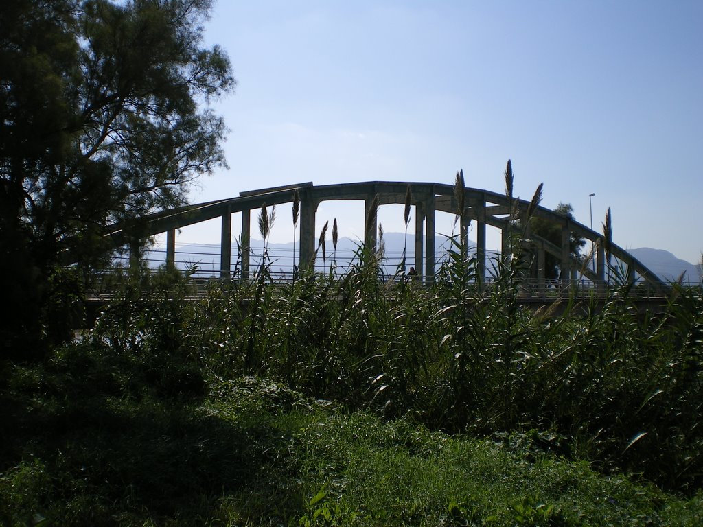 Pont sobre el Riu Xúquer entre Riola i Sueca by Tonio Castells