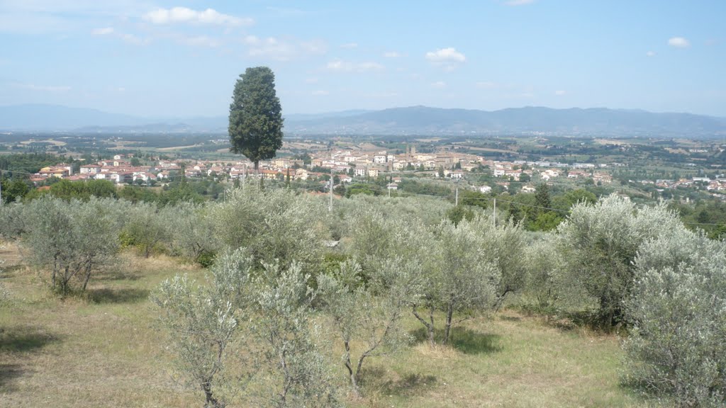 Monte San Savino (Italia) by espino