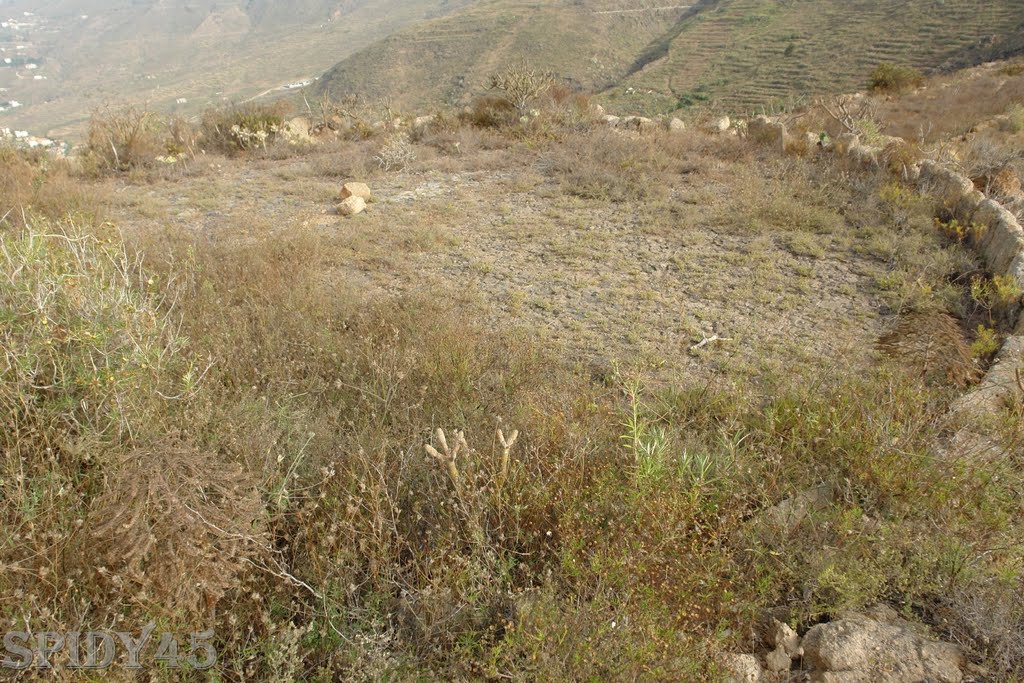 ERA EN EL SENDERO A ROQUE DE JAMA by TENERIFE SENDEROS