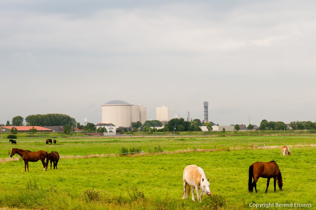 De Suikerunie in Hoogkerk. De enige nog overblijvende suikerfabriek in Groningen is de CSM Vierverlaten in Hoogkerk . Deze produceert jaarlijks 235.000 ton suiker by Berend-Jan Eissens