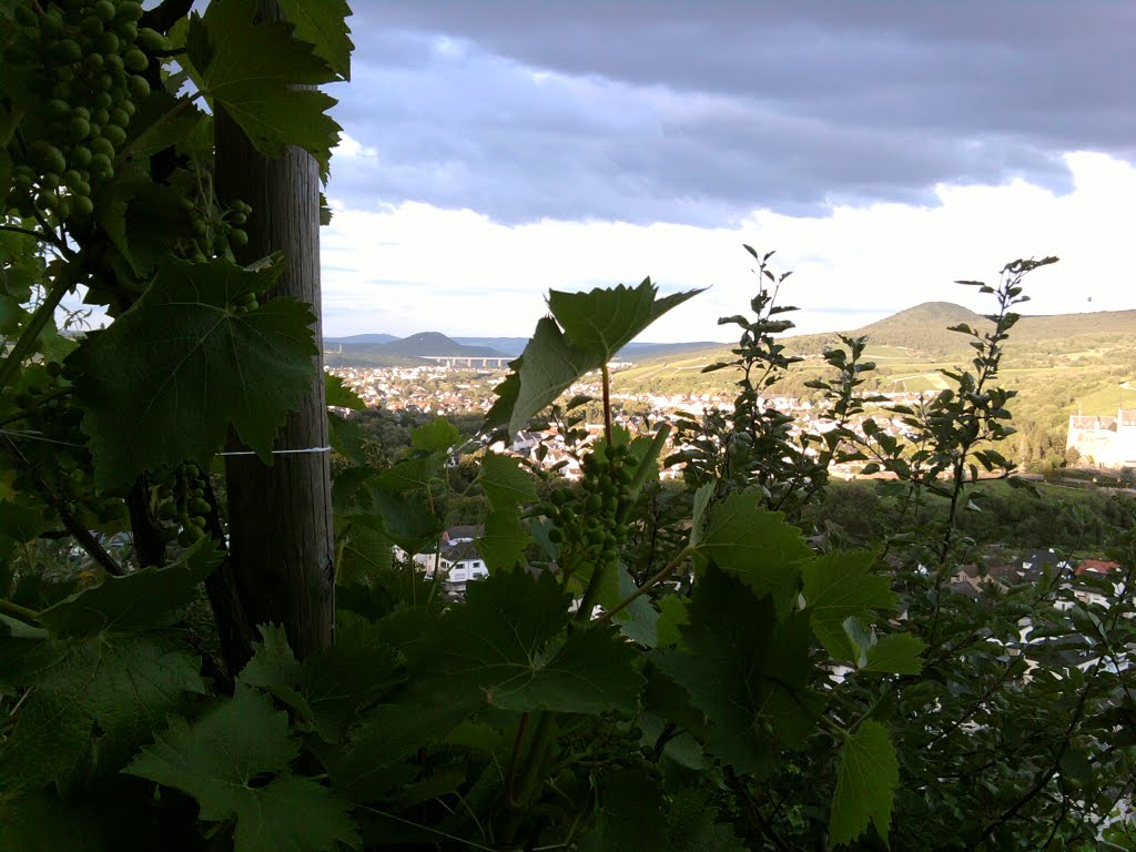 Ahrweiler by MAHIR PANORAMA