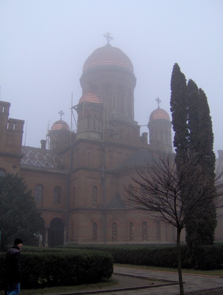 Chernivtsi by puli