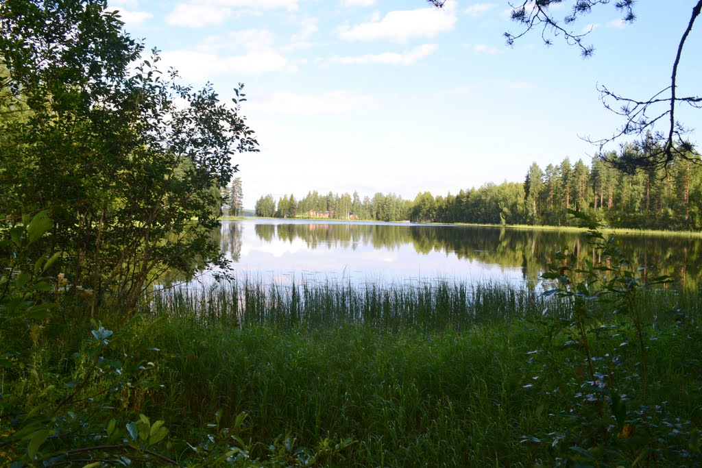 Bay Linjalanlahti at the SE end of Lake Iso-Ahveninen (Vesanto, 20110726) by RainoL