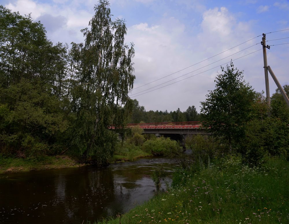 Bridge by Dmitry Ozersky