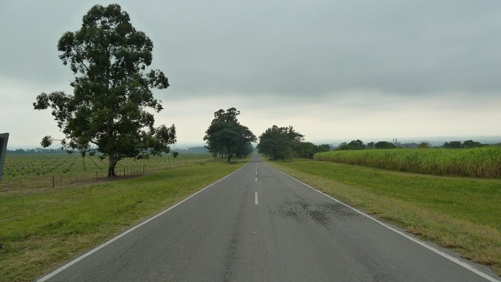 Camino a Villa Nougués by ogpicts