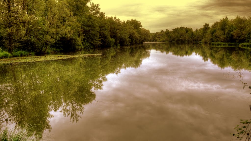 WALDSEE MIRROR by inN1/4tler