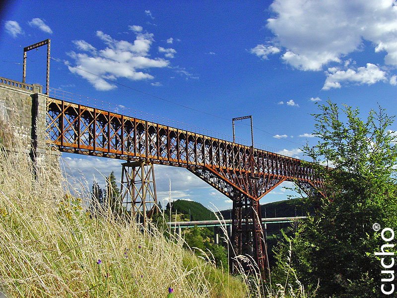 Puente Malleco by cuchitomix