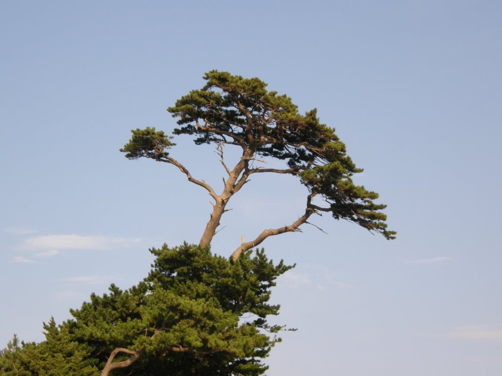 Shirahama oohama beach,白浜大浜海岸 by www.izurainbow.com