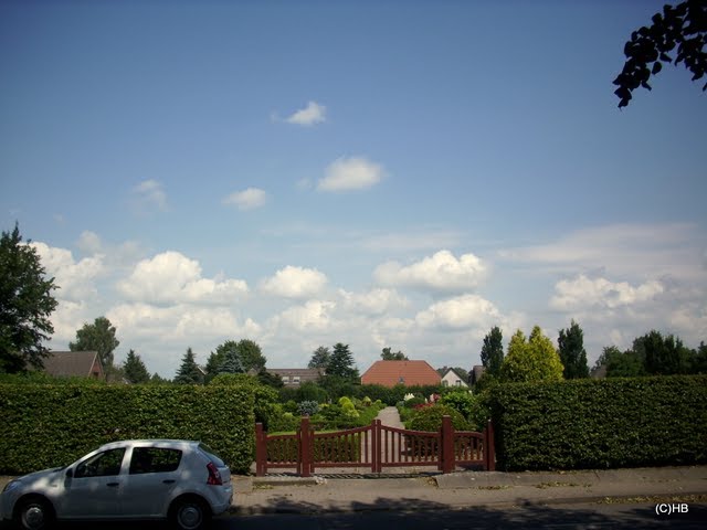 Friedhof Brockdorf by Heinz.Bock