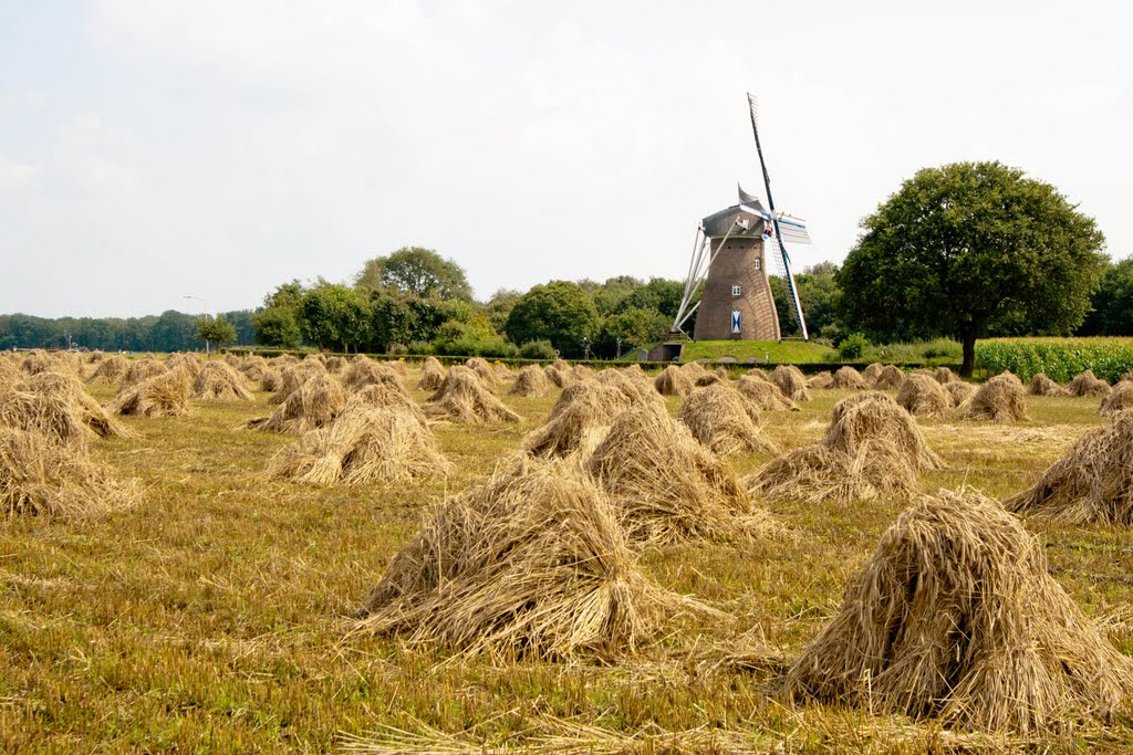 Windmill by MdeLange