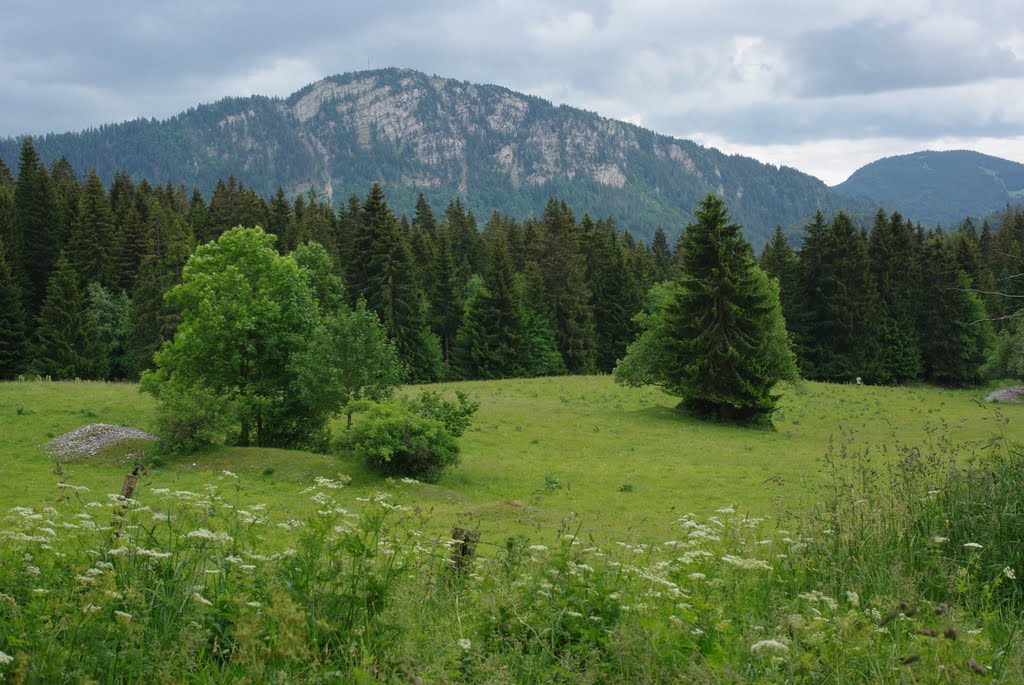 Le Mont Tendre depuis la Petite Echelle by Van Beek