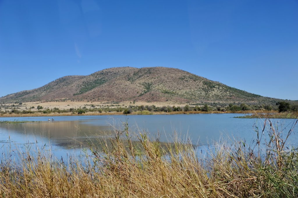 南非比林斯堡国家公园 Pilaneberg National Park ZA by wendayys