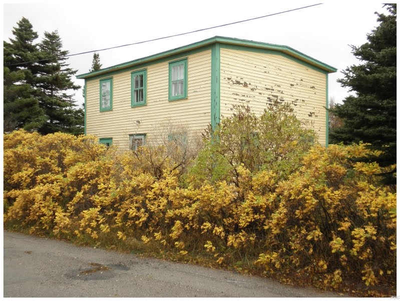 Cartyville House, Cartyville, Newfoundland by Mikhail-Kolnik