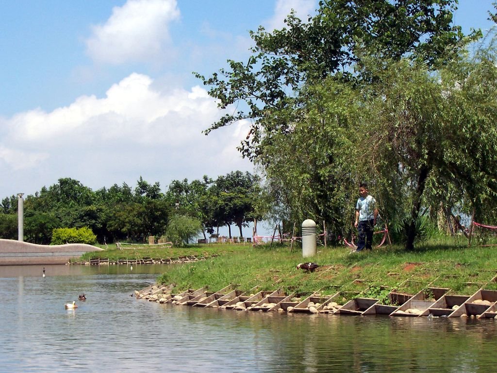 台中都會公園水池Taiwan2004 by liem,d.