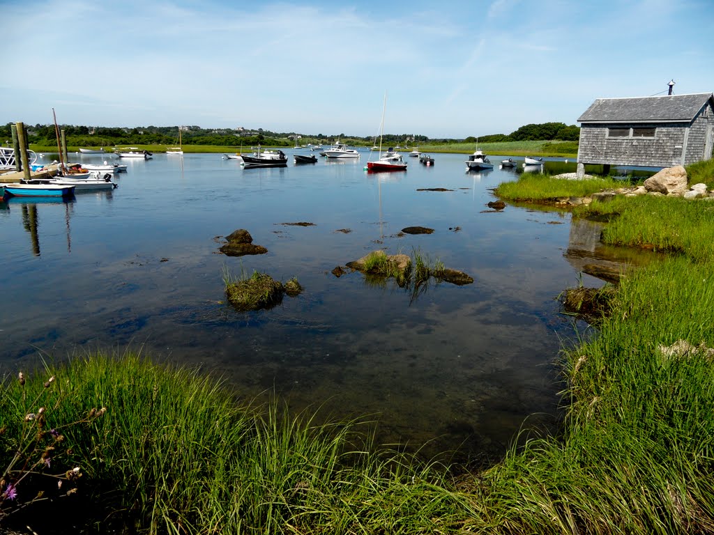 Nasaquitsa Pond 2 by taftdev