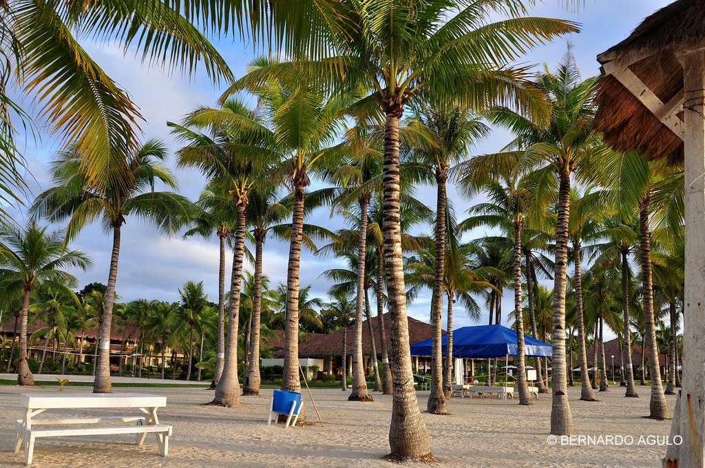 Bohol Beach Club, Panglao Island, Bohol, Philippines by Silverhead