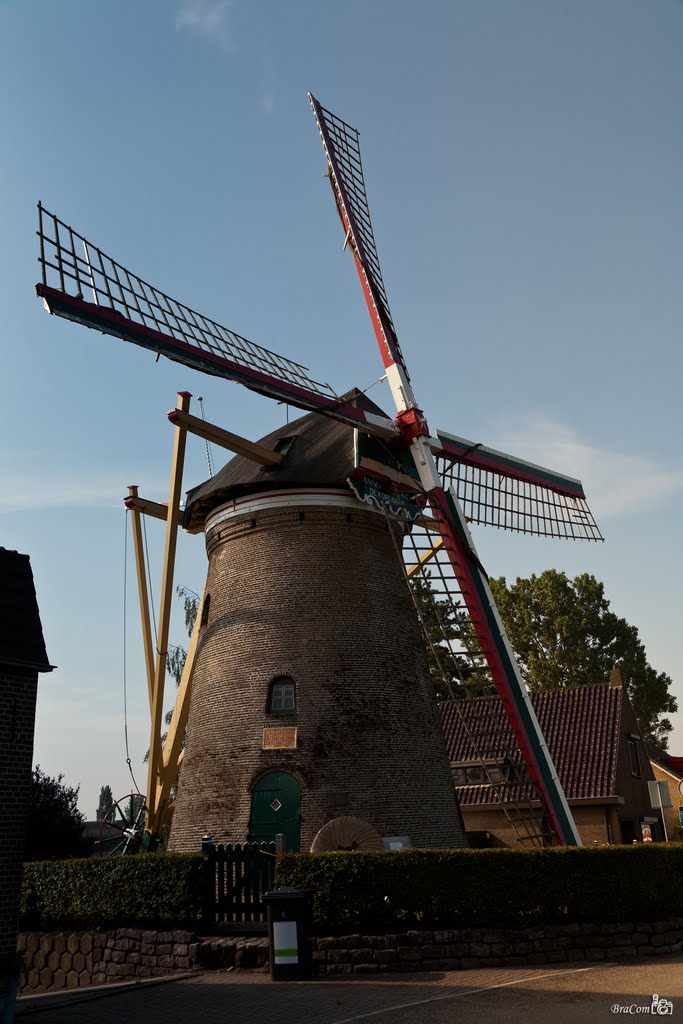 De korenaar (1746), Stad aan het Haringvliet by © BraCom (Bram)