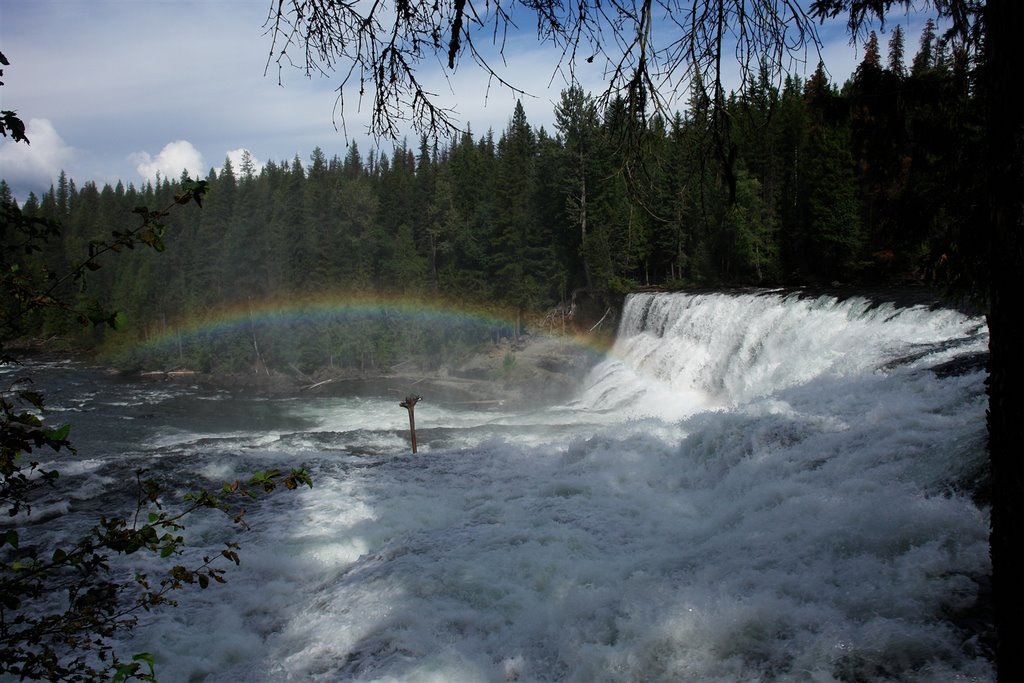 Dawson Falls by paoloscardina