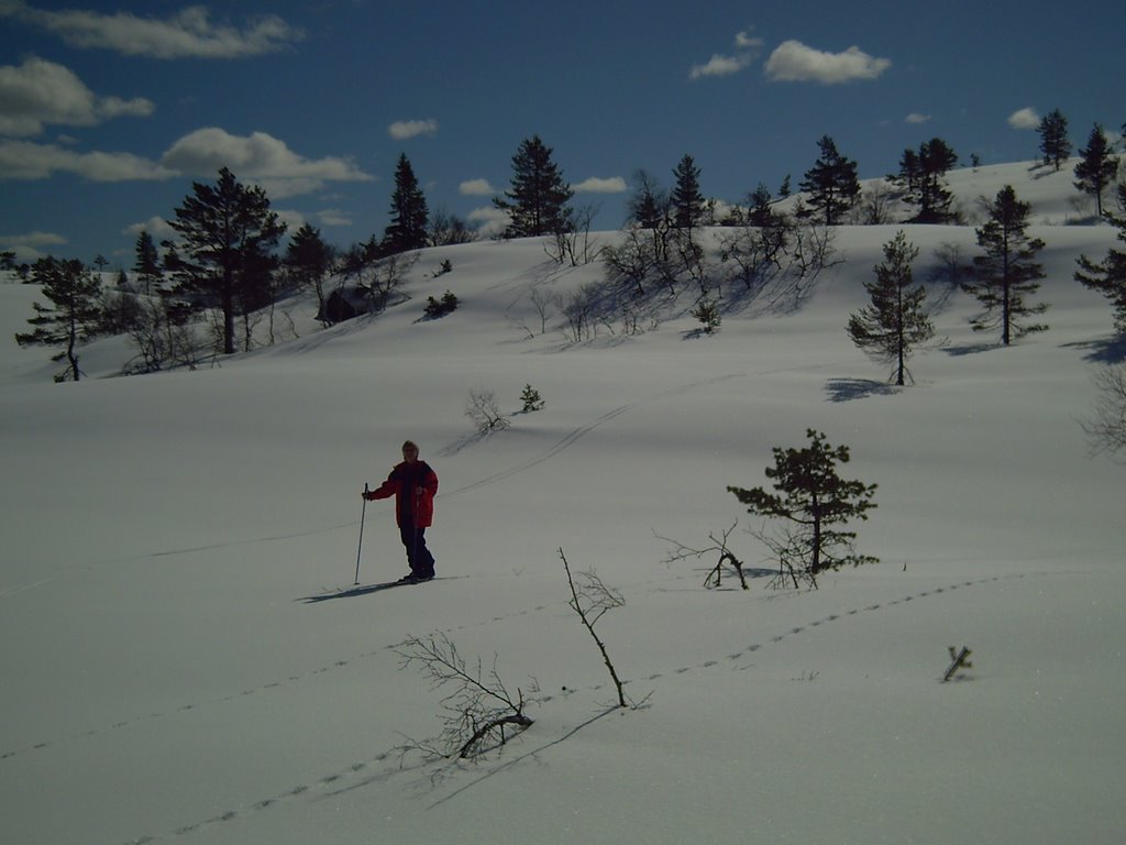 Ved befjell by svenbjorn