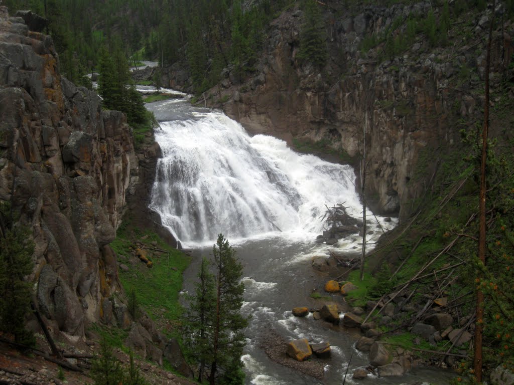 Gibbon Falls in Yellowstone | DyeClan.com by dyeclan.com