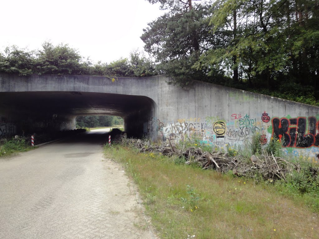 Assel, Asselseweg, Viaduct onder A1 by XanderBW