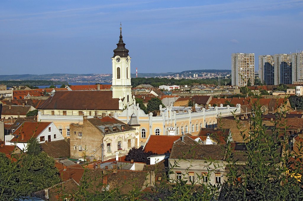 Zemun, Gardos, Petar Bursac by Petar Bursac