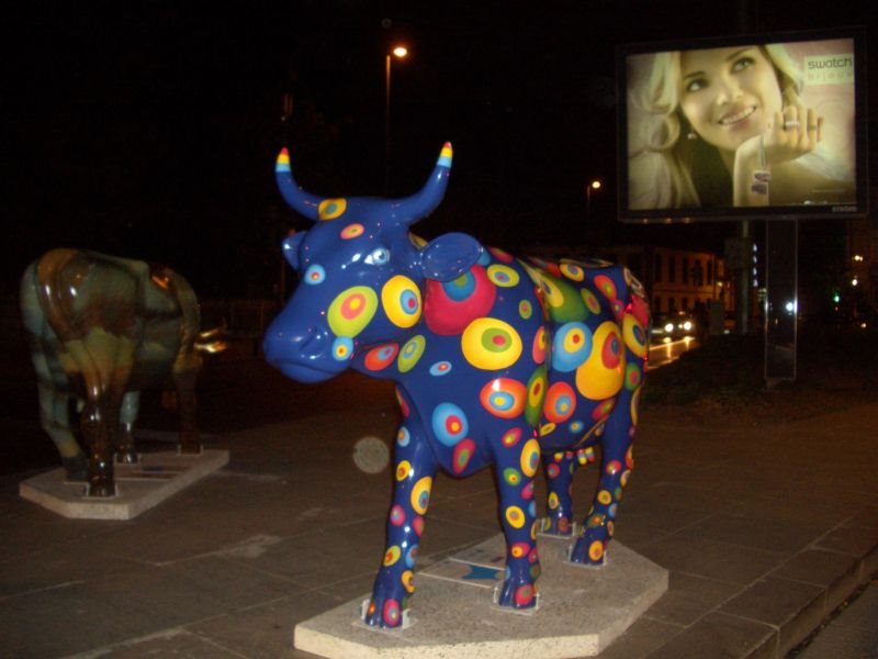 Cow in the Istanbul by csurucu2006