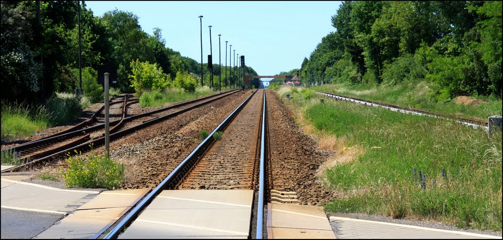 Bahnübergang in der Niederheidenstraße in Neuenhagen bei Berlin im Landkreis Märkisch-Oderland by Ralf Pätzold, Berlin