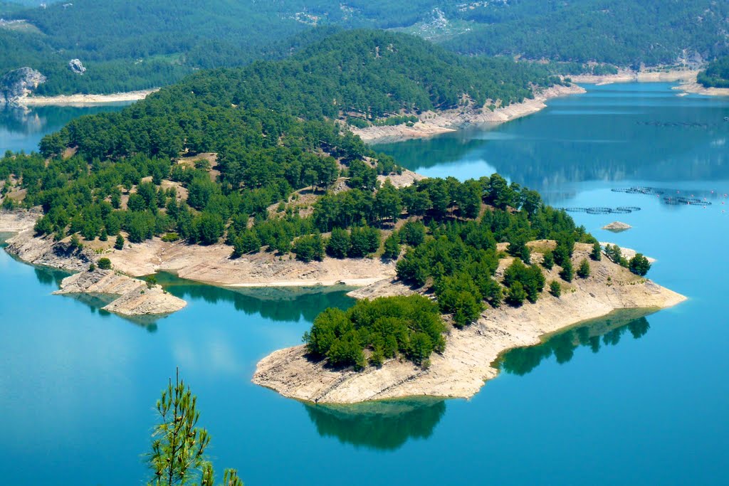 Bergsee by herbe des pampa