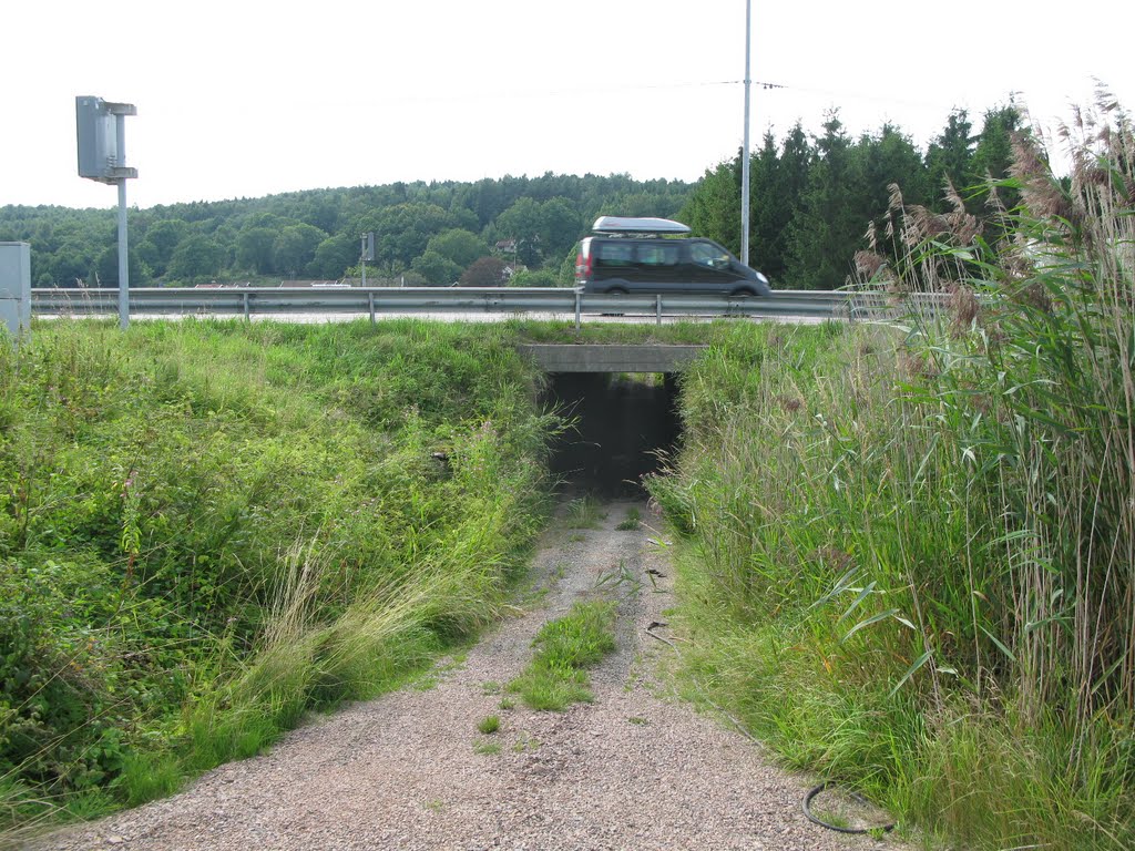 Tunnnel under highway E6 near Rönning, Hisingen 2011 by Biketommy