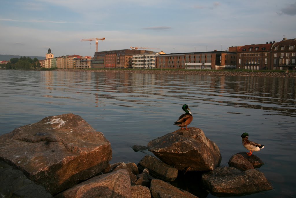 Jönköping, Småland, Sverige by Hans Sterkendries