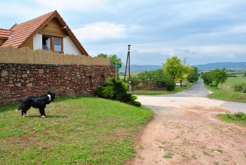 Kővágóörs / Hungary by sbb66