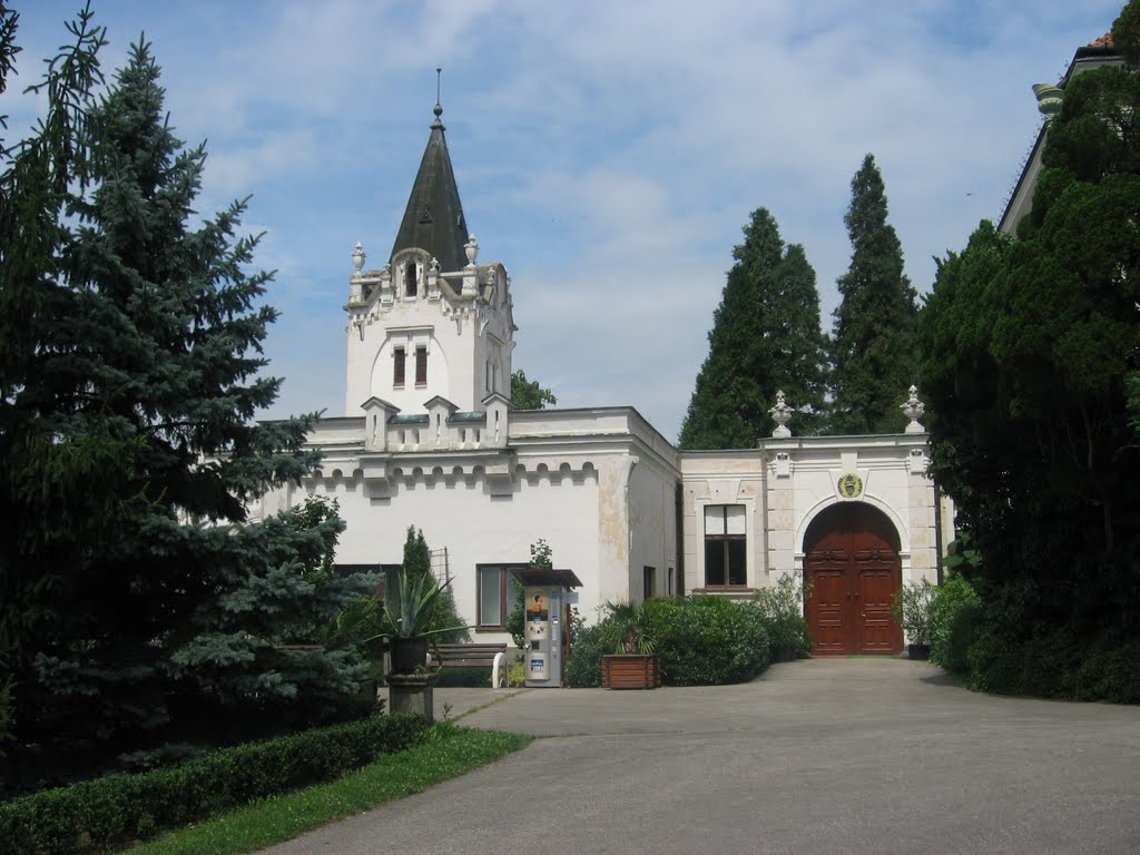 Kaštieľ vo Vieske nad Žitavou - "Arborétum Tesárske Mlyňany" by fofik77