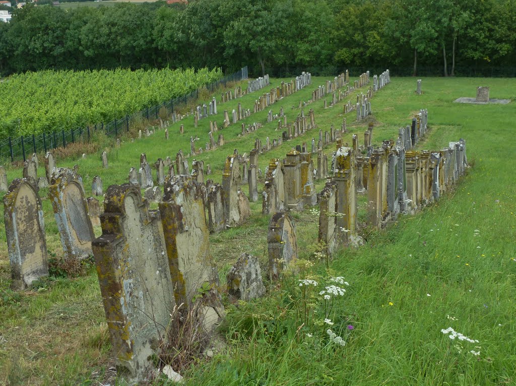 Hüttenheim, Jüdischer Friedhof (1938 teilweise zerstört) by cammino - VIEWS? No, thanks