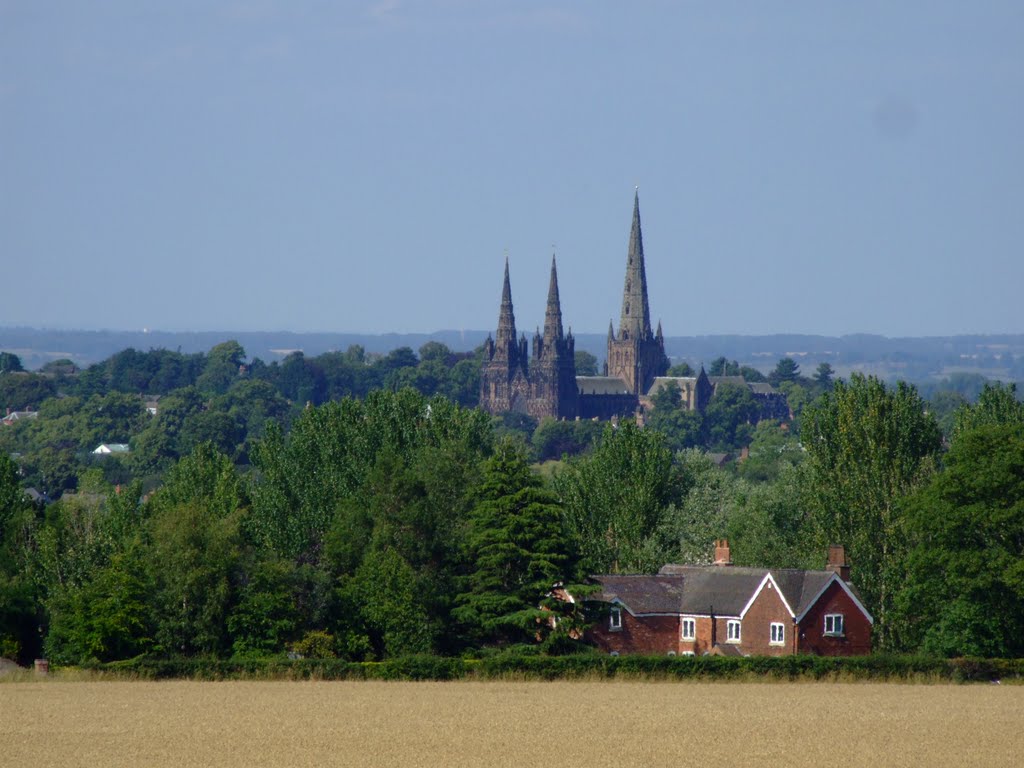 Lichfield Cathedral across the fields by Phil Beecher