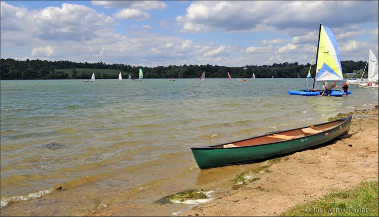 Marsh Creek by Alida Thorpe