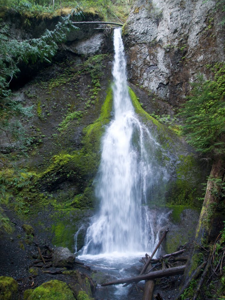 Marymere Falls, Lake Crescent, Olympic Park, Washington by caodavies