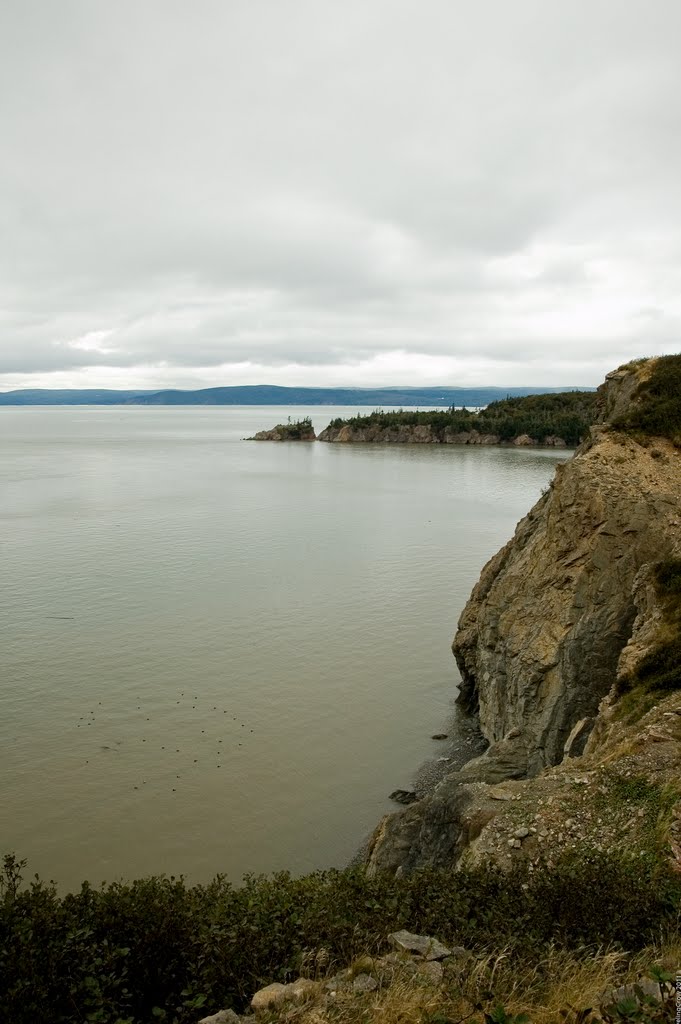 View over The Bay of Fundy from Cape Enrage; Harvey, New Brunswick (See info on Page 1) by Traveling-Crow