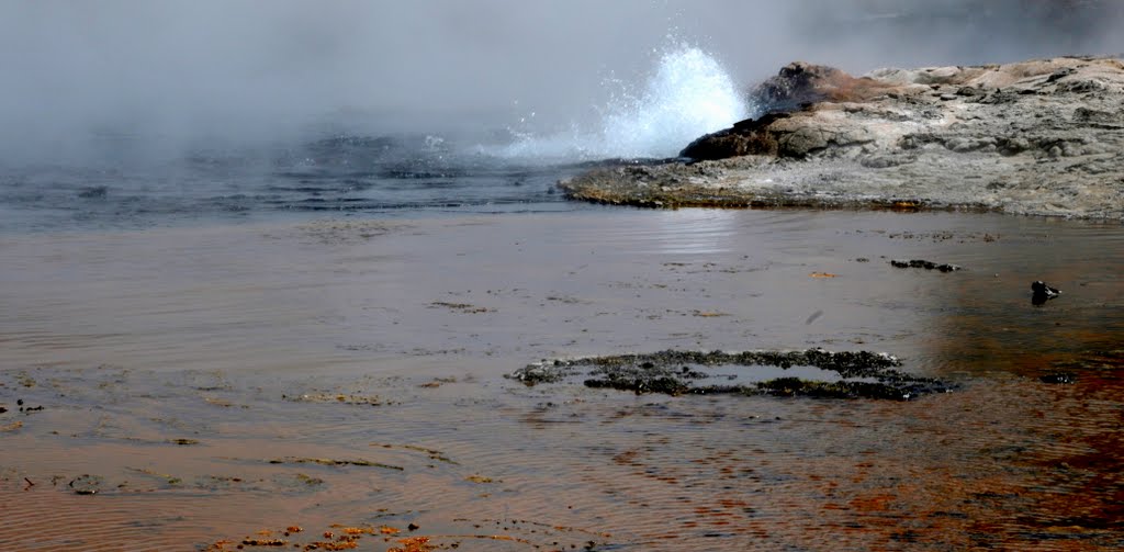 Yellowstone National Park, WY 43 by BALÁS ISTVÁN