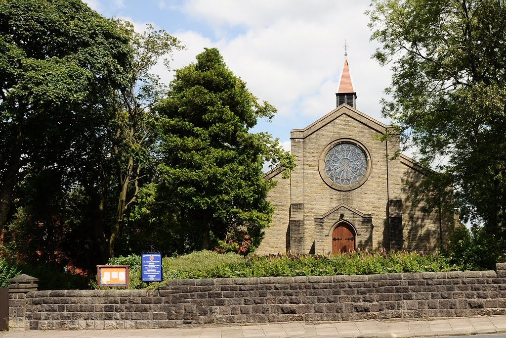 St. Francis by David Humphreys