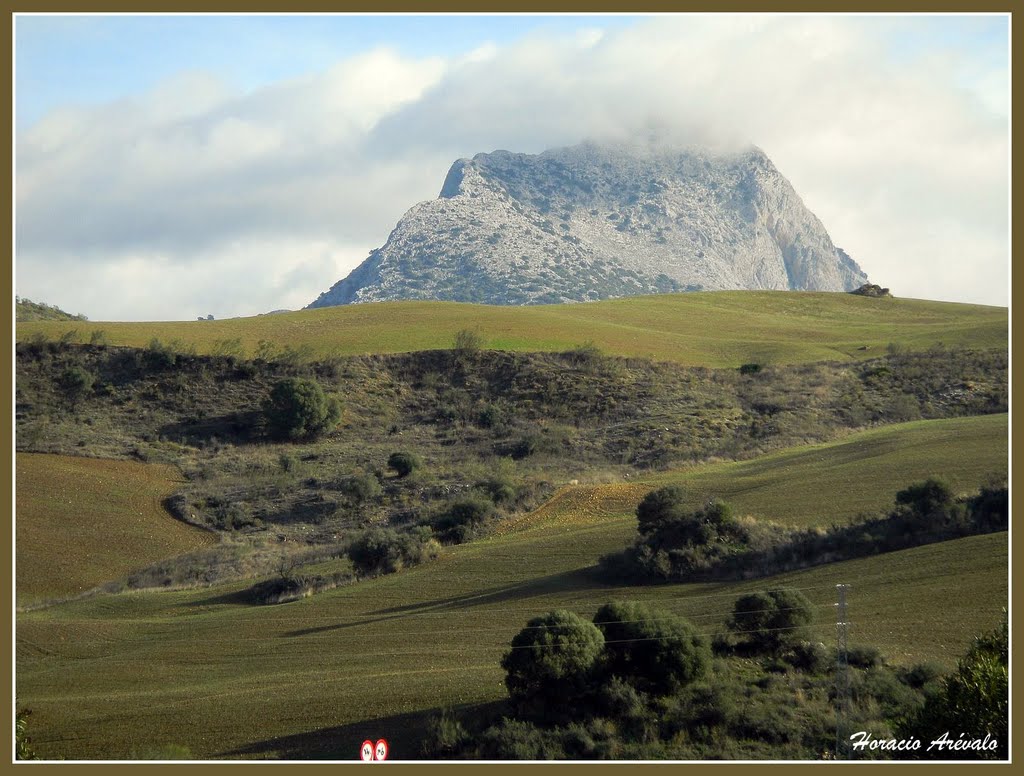 We traveled from Granada to Malaga, here we show the beautiful scenery. by Horacio Arevalo