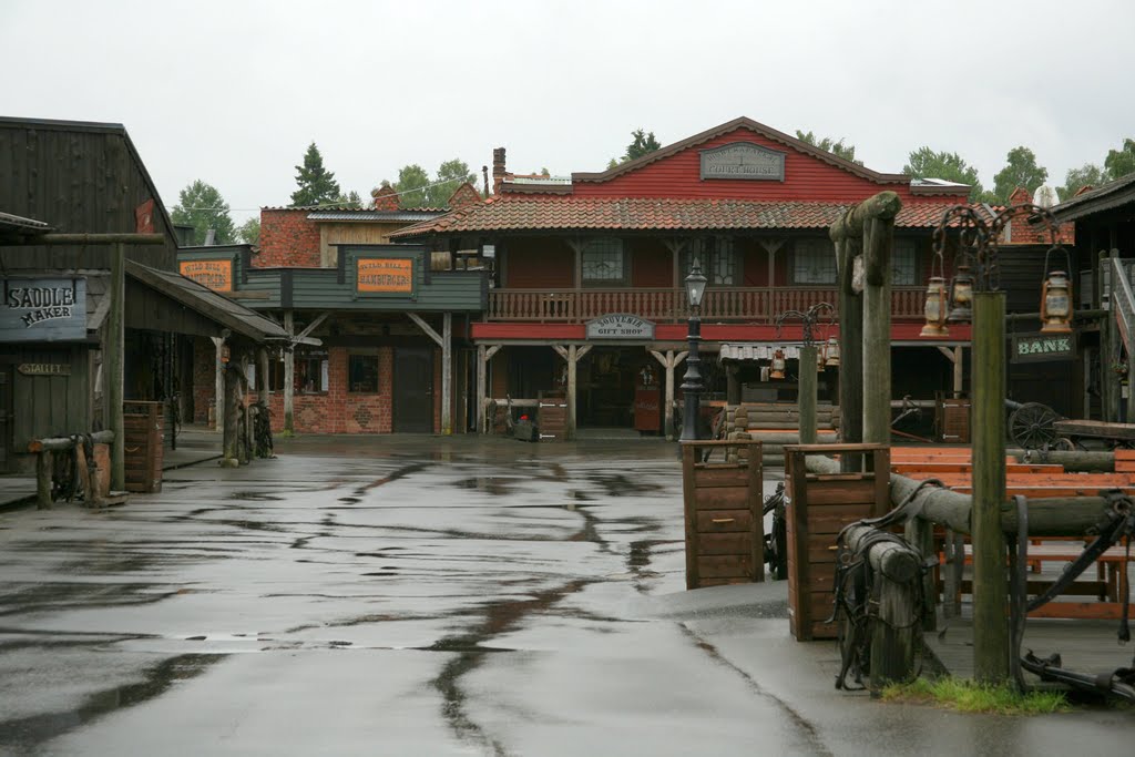 High Chaparral, Småland, Sverige by Hans Sterkendries