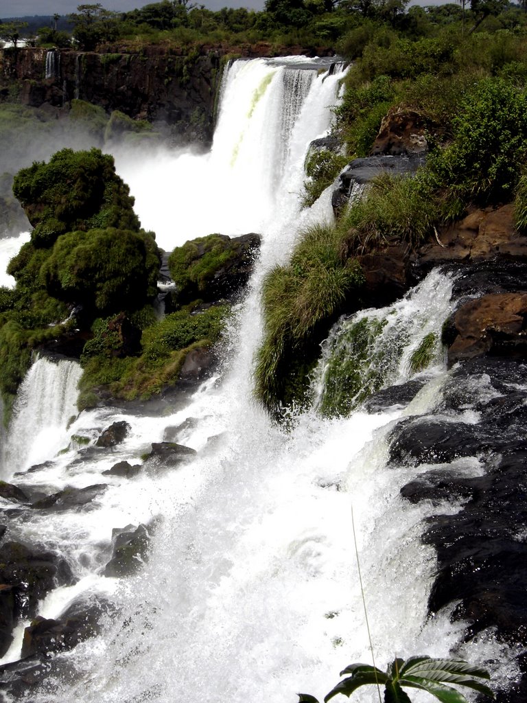 Argentina, Cataratas Iguazú by cesarcriado