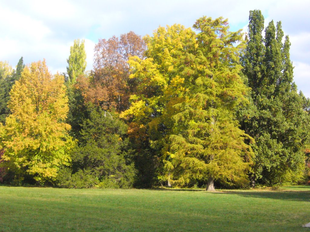 Szarvas_Arboretum by Cedrus