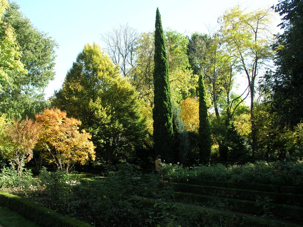 Jardin botanico.Madrid by pilpil