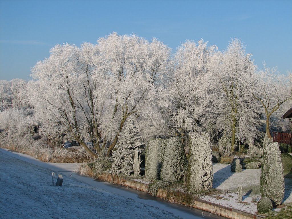 Winter langs de dijk by jongwezel