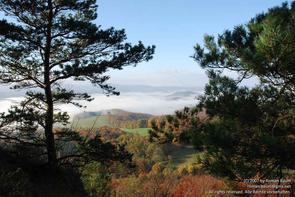 Herbst auf dem Hörselsberg by Roman Baum