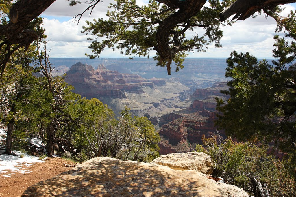 Grand Canyon by Broz