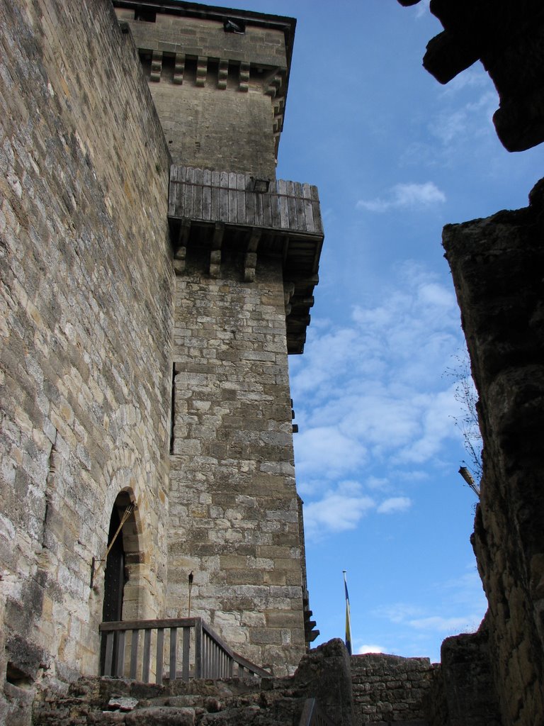 Château de Castelnaud by DESRENTES ERIC